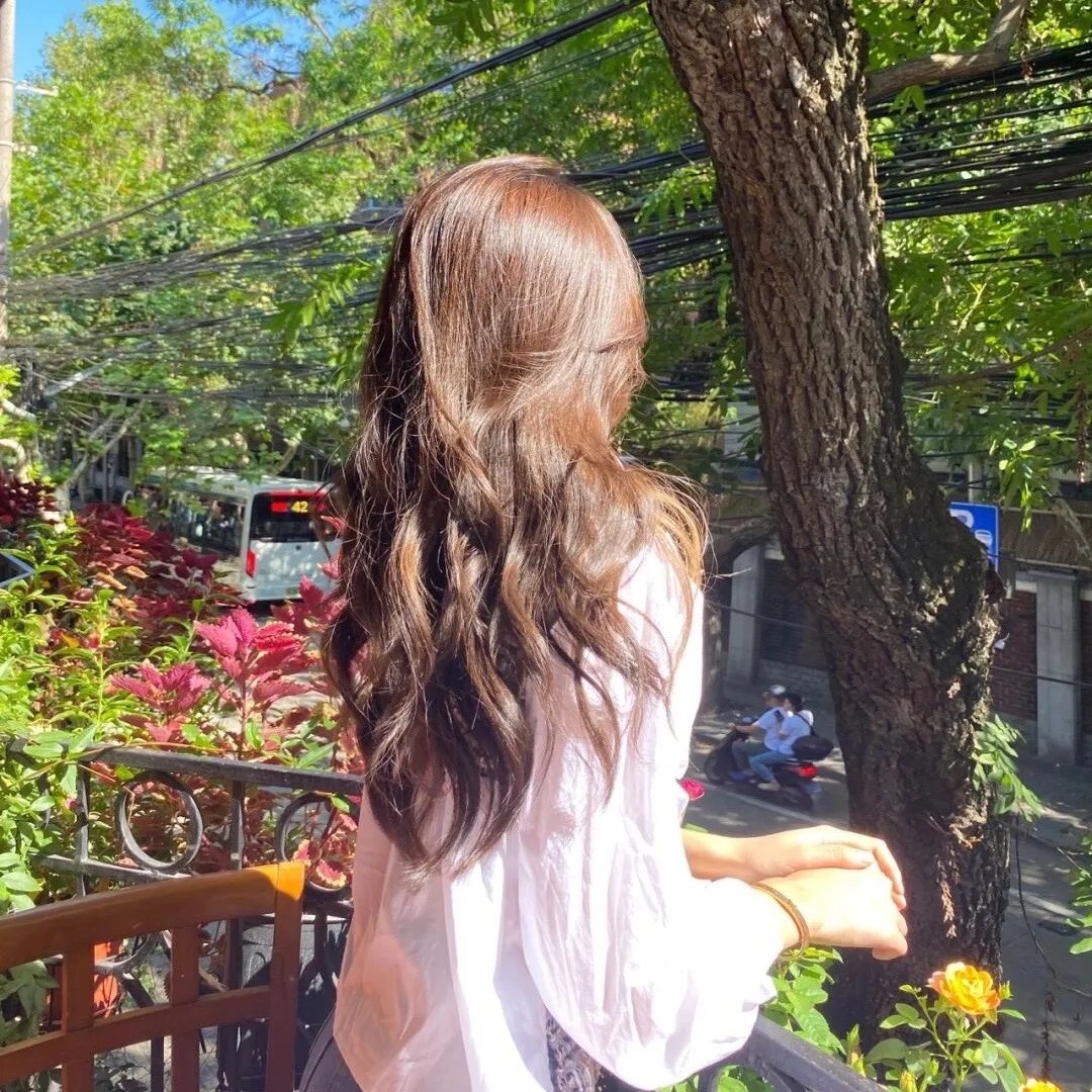 凤舞龙翔