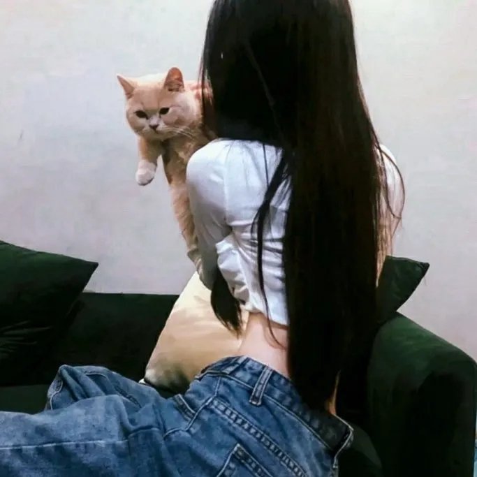玩命钞劫